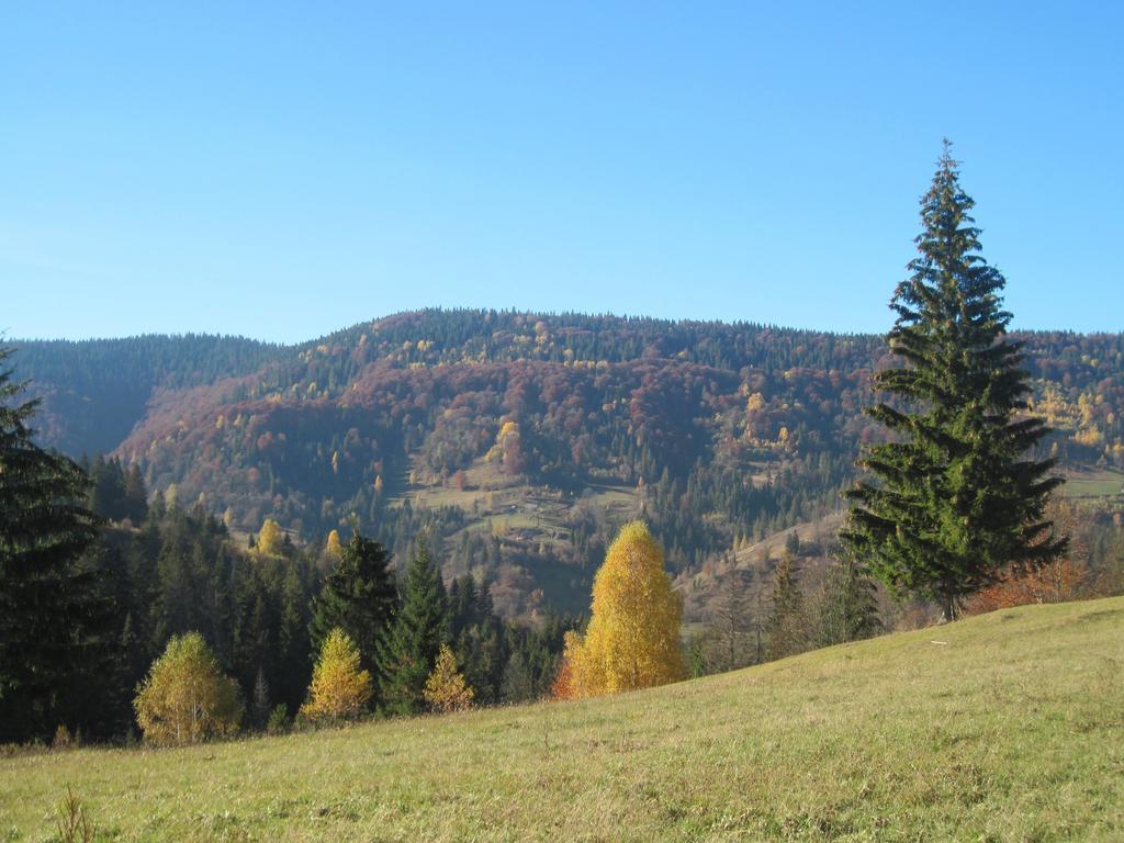 Guest House Stari Druzy Sławsko Zewnętrze zdjęcie