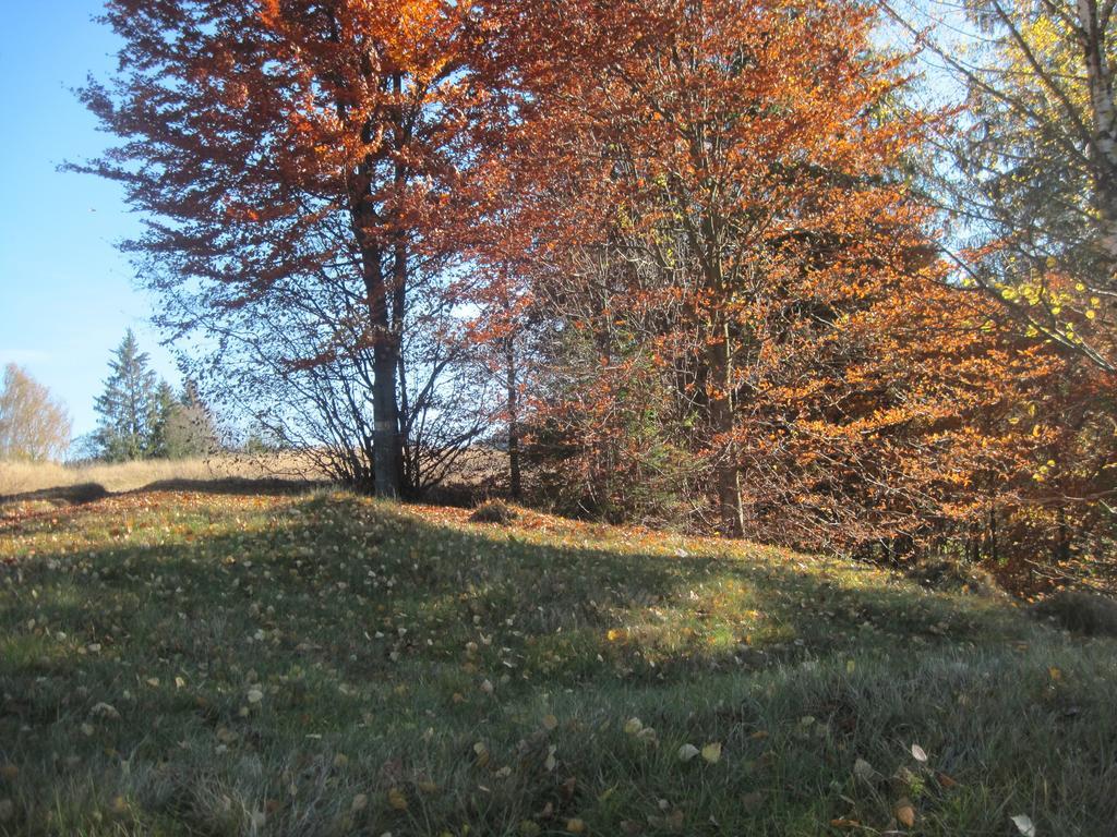 Guest House Stari Druzy Sławsko Zewnętrze zdjęcie
